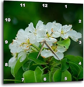 3dRose A Cluster of White crabapple Flowers, Green Leaves and. - Wall Clocks (DPP_341828_2)
