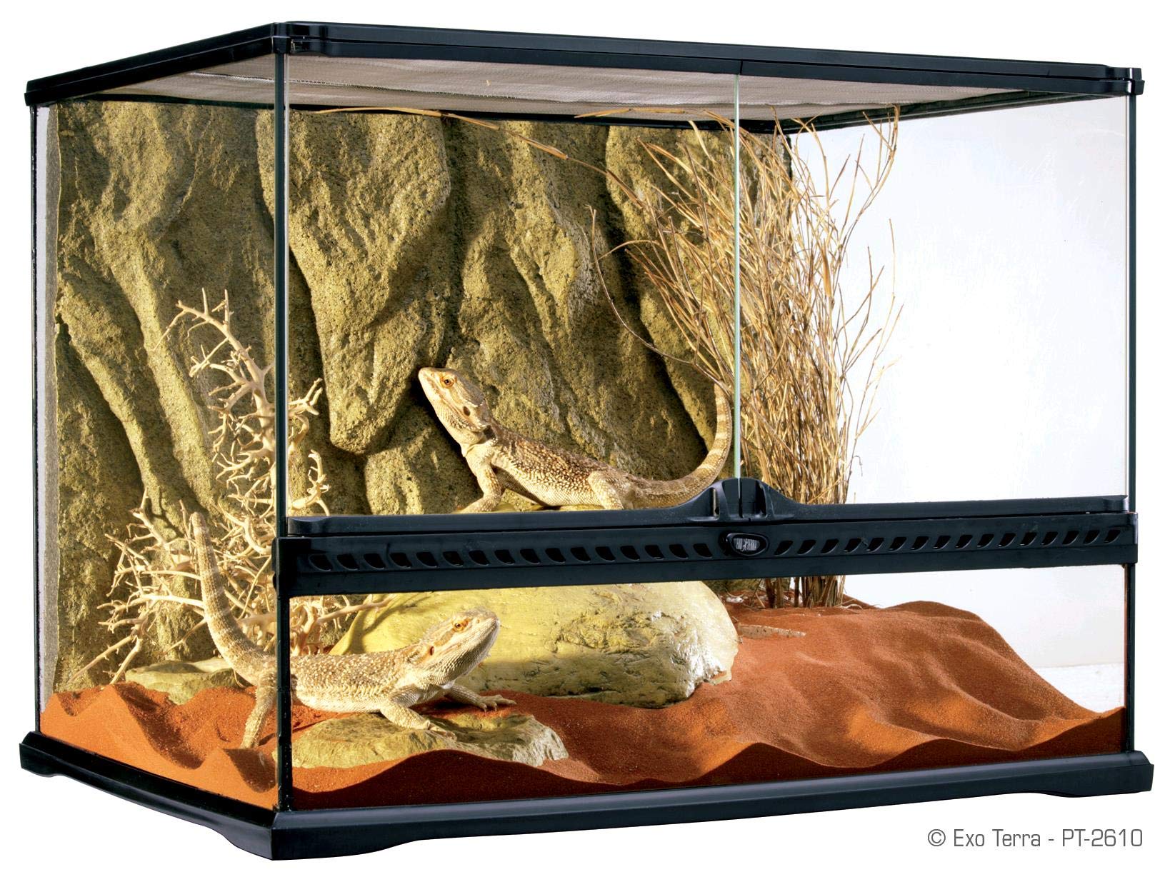 Exo Terra Glass Terrarium Tank – 24 x 18 x 18 Inches
