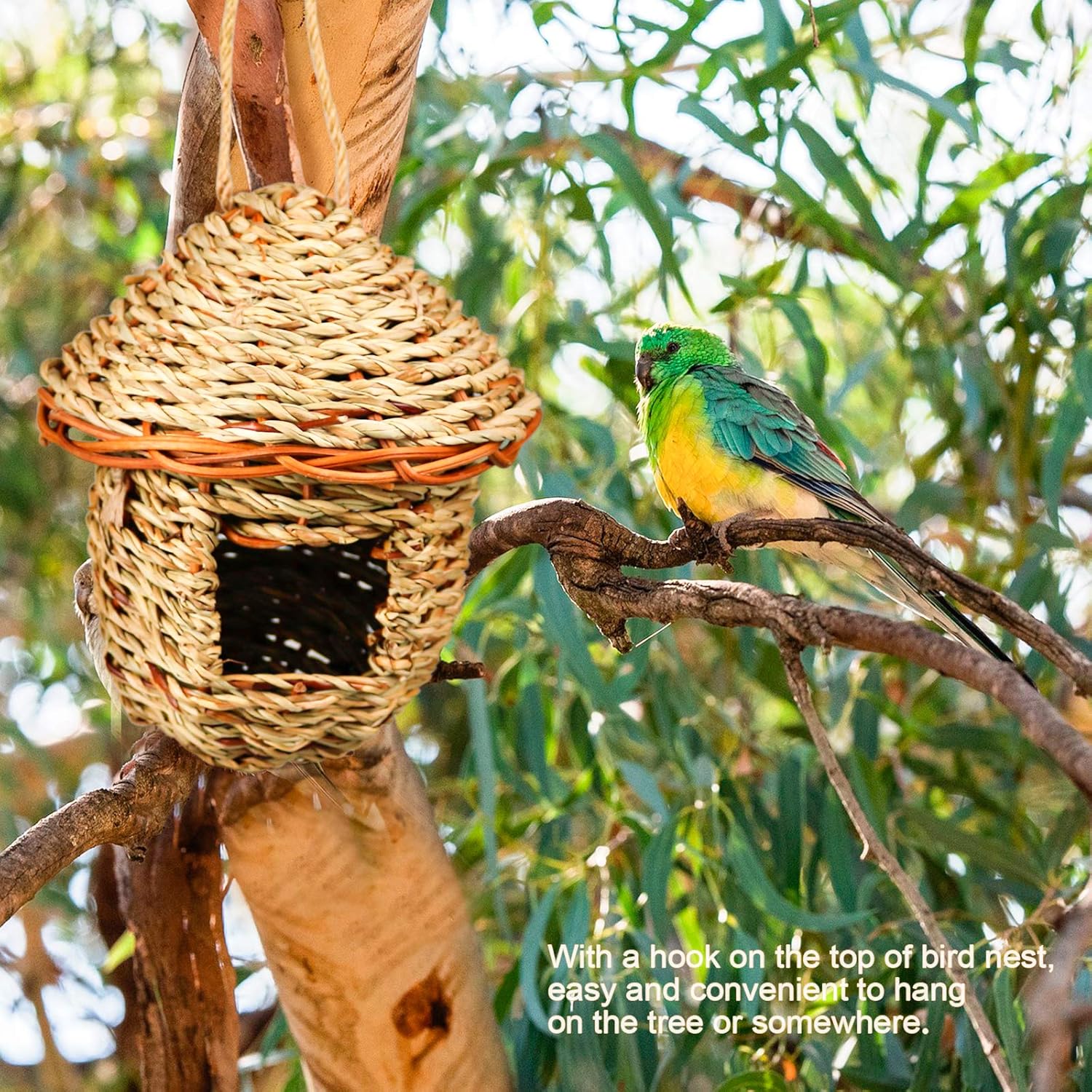Hummingbird Bird Nest, Handwoven Straw Grass Hanging Bird Hut Grass Woven Parakeet Breeding Cave Cozy Resting Place Sparrow House for Cockatiel Parrots Parakeet Conures Finch (H01) : Kitchen & Dining