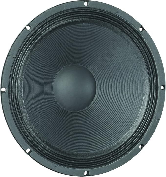 15 inch 300 watt speaker price