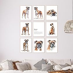 BigWig Prints - Boxer Dog Wall Decor, Boxer Lover
