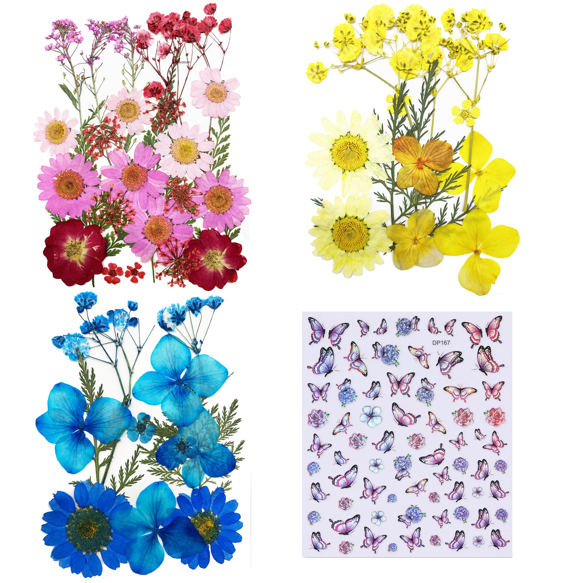 Cayway 4 Style Pressed Flowers Natural Dried Flowers Colorful Resin Flowers Real Pressed Flowers with Butterfly Sticker for Resin Scrapbooking DIY Art Crafts, Epoxy Resin Jewelry Supplies