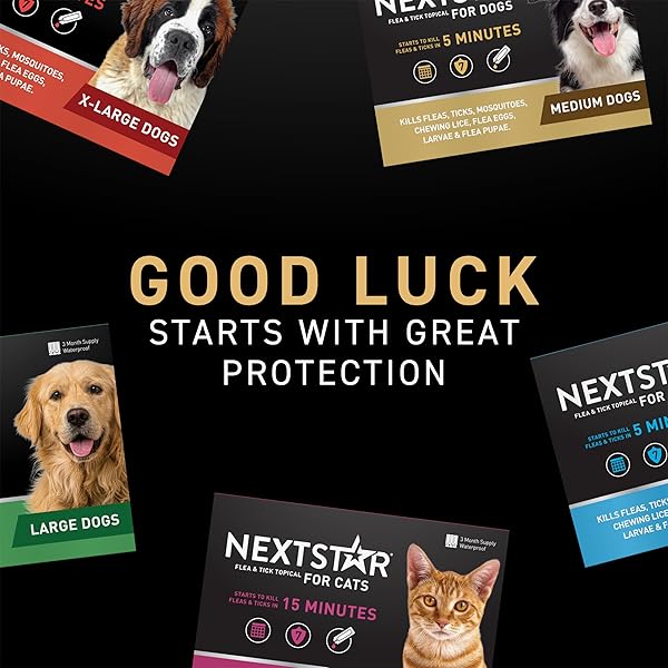 NEXTSTAR FLEA AND TICK PREVENTION FOR CATS, REPELLENT AND CONTROL, FAST ACTING WATERPROOF TOPICAL DROPS, FLEA PREVENTION FOR CATS OVER 3.5 LBS, 1 MONTH DOSE
