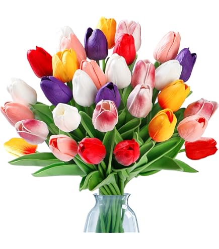 Amazon.com: Fox Valley Traders Miles Kimball Varying Colors Set of