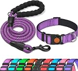 haapaw Reflective Padded Dog Collar with Soft Neoprene Nylon Adjustable