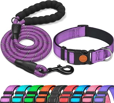 haapaw Reflective Dog Collar with Soft Neoprene Padding Adjustable Nylon
