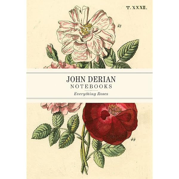 Amazon.com: John Derian Colouring Book: Flowers: 9781648295089