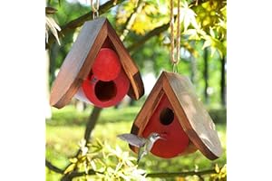 Hummingbird House for Outside. Hummingbird Gifts. Gardening Gifts for Women. Gifts for Bird Lovers. Hummingbird Nest （2 PCS） ZSHLXM