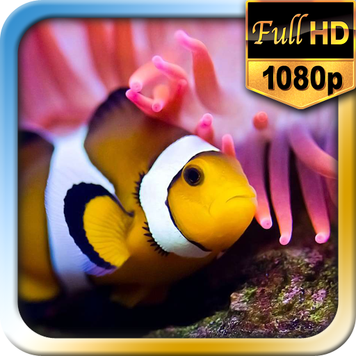 Amazon.com: Under The Sea HD Wallpapers: Appstore for Android