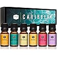 P&J Trading Fragrance Oil Caribbean Set | Pina Colada, Awapuhi Seaberry, Papaya, Mango, Ocean Breeze, Orchid Candle Scents for Candle Making, Freshie Scents, Soap Making Supplies, Diffuser Oil Scents