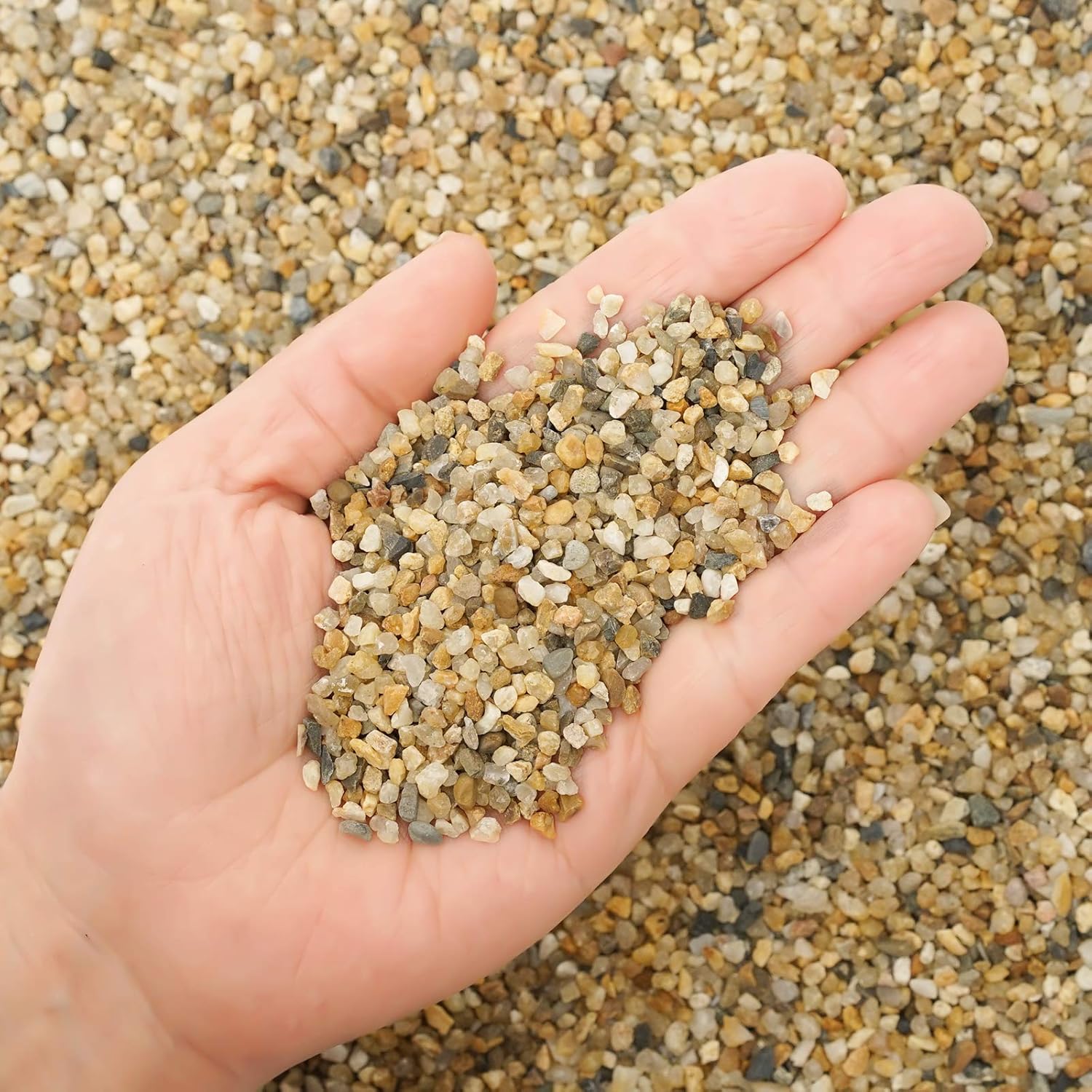 Hardscaping Materials - 9.7 lb Coarse Sand Stone - Succulents and Cactus Bonsai DIY Projects Rocks, Decorative Gravel for Plants and Vases Fillers,Terrarium, Fairy Gardening, Natural Stone Top Dressing for Potted Plants.