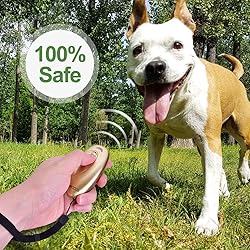 MODUS Ultrasonic Dog Barking Deterrent, 2-in-1 Dog