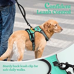 rabbitgoo Dog Harness No Pull with 2 Leash