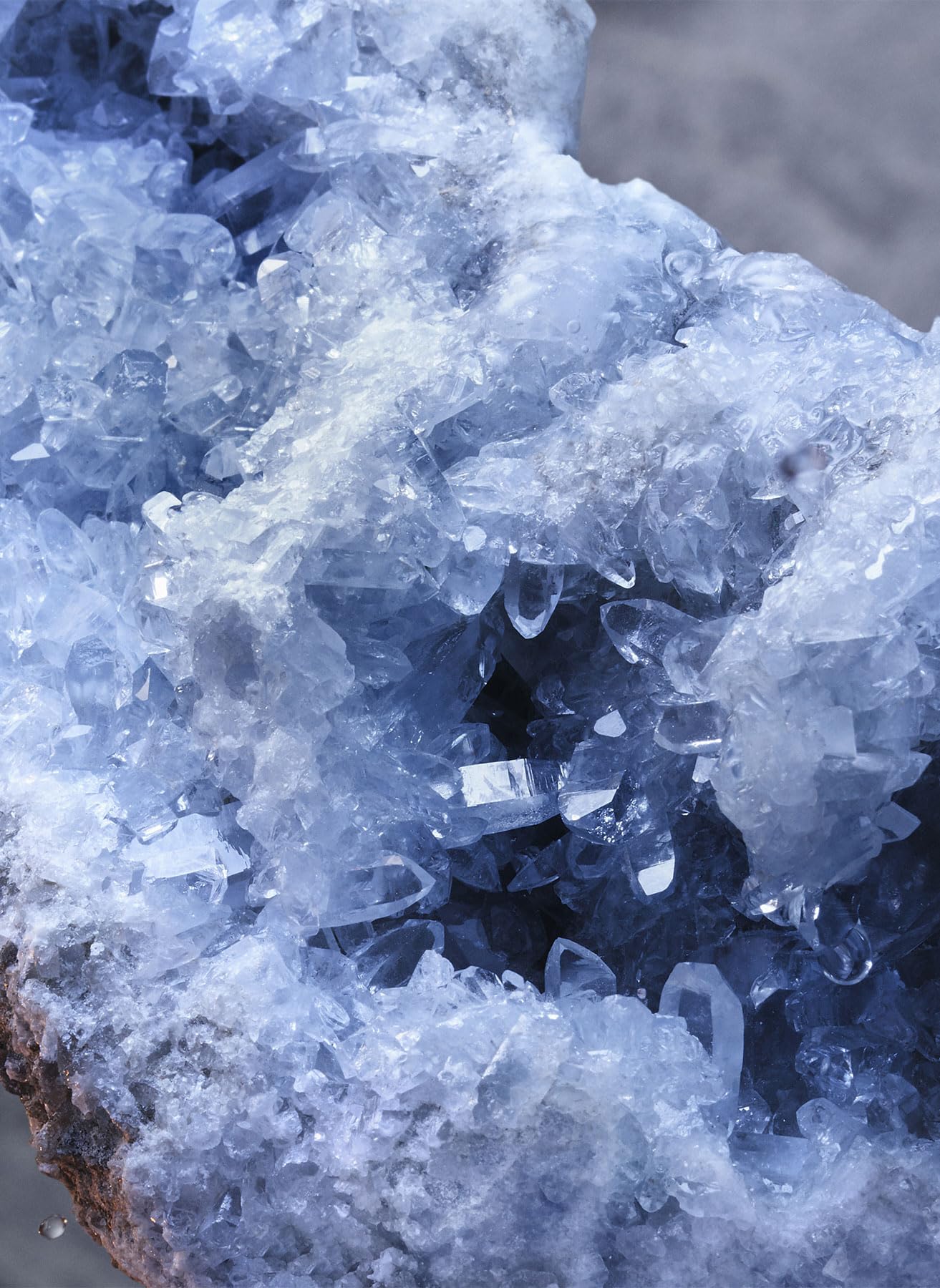 Paco Rabanne Invictus Men 6.8 oz EDT Spray