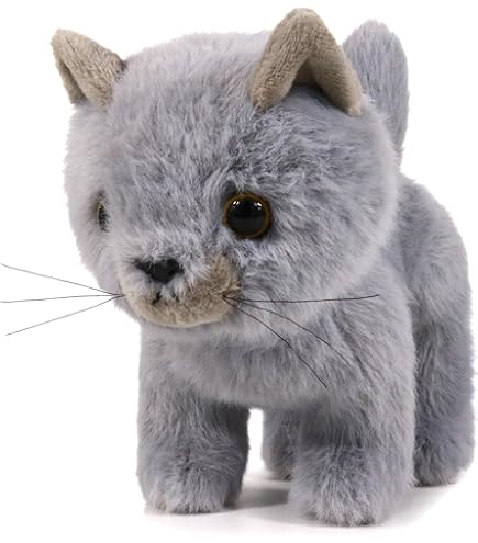 Amazon.com: Dilly dudu Gray cat/Kitten Stuffed Animal Plush