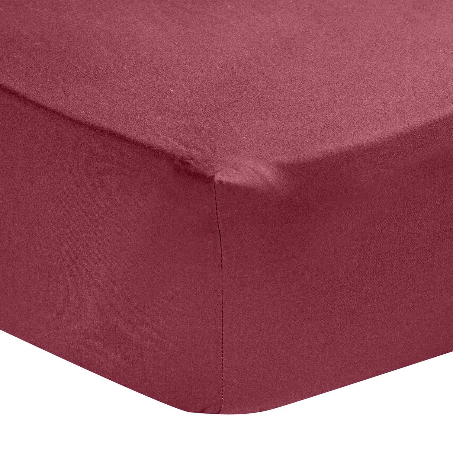 Homescapes Extra (18") Deep Pure Cotton Double Fitted Sheet Plum Plain