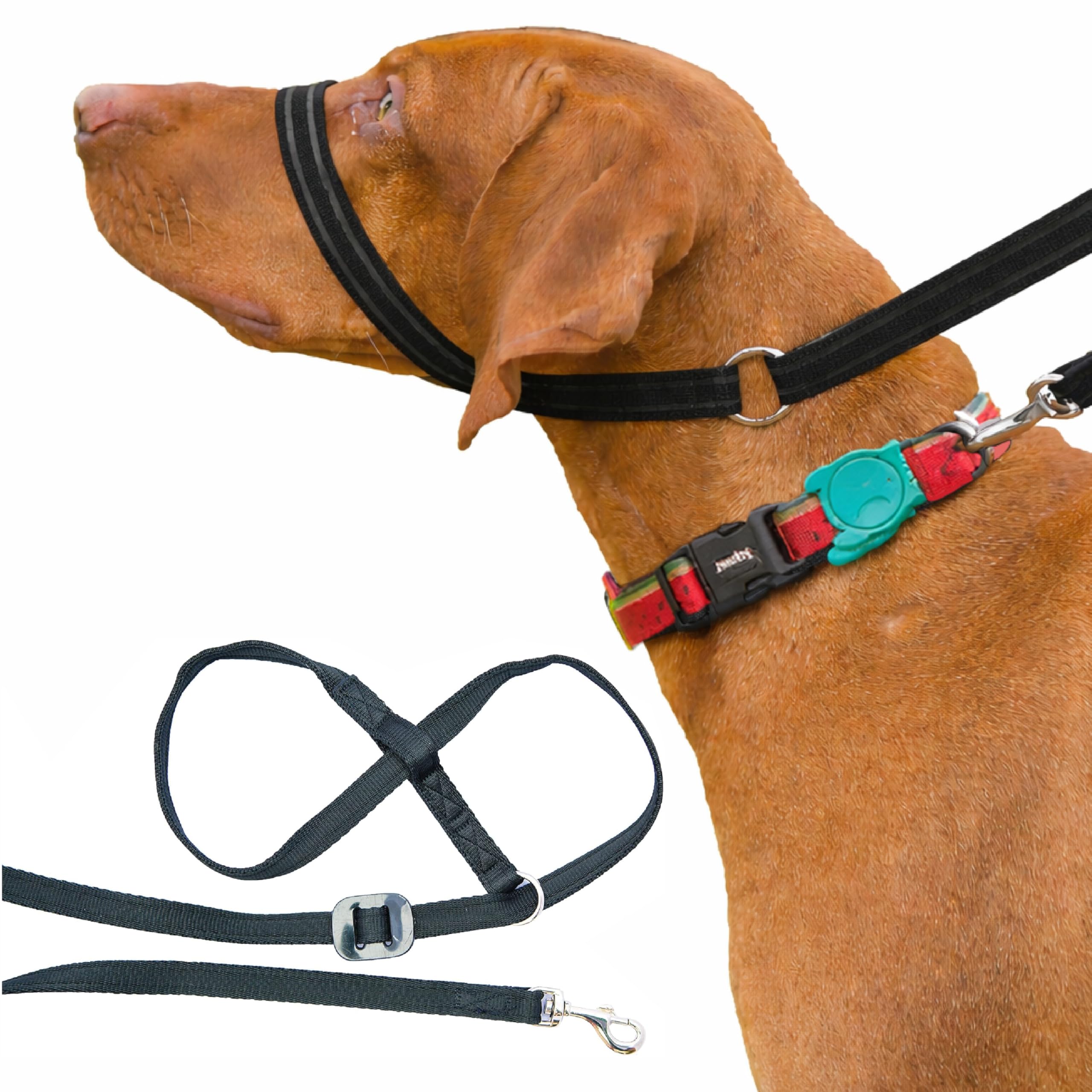 Gencon - Clip-to-Collar Dog Headcollar and Lead - Trainer Approved - One Size Dog Training & Behaviour Aid - Soft & Gentle Design with Trigger Clip - Left - Made in Britain - Black โ image 1
