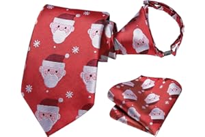 Dubulle Boys Christmas Zipper Ties Xmas Pretied Necktie for Boy and Pocket Square Age 8-12 Boys Party Festival