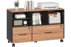 Semoic 2 Drawer File Cabinet for Home Office, Lockable Rolling Filing Cabinet with Adjustable Shelves, Wood Lateral File Cabinet with Lock, Printer Stand Office Storage Cabinet, Rustic Brown & Black