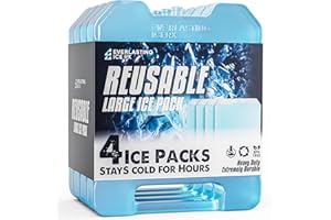 Everlasting Ice RX Large Reusable Ice Packs for Cooler with Handle (4 Pack) Long Lasting Coolness, BPA Free, Freezer Packs for Extended Cooling | Cooler Ice Packs for Camping, Fishing, Hiking, Beach