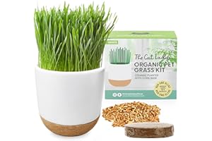 The Cat Ladies Cat Grass for Indoor Cats Kit with Organic Cat Grass Seed Mix, Soil and Ceramic & Cork Planter, Natural Hairball Remedy