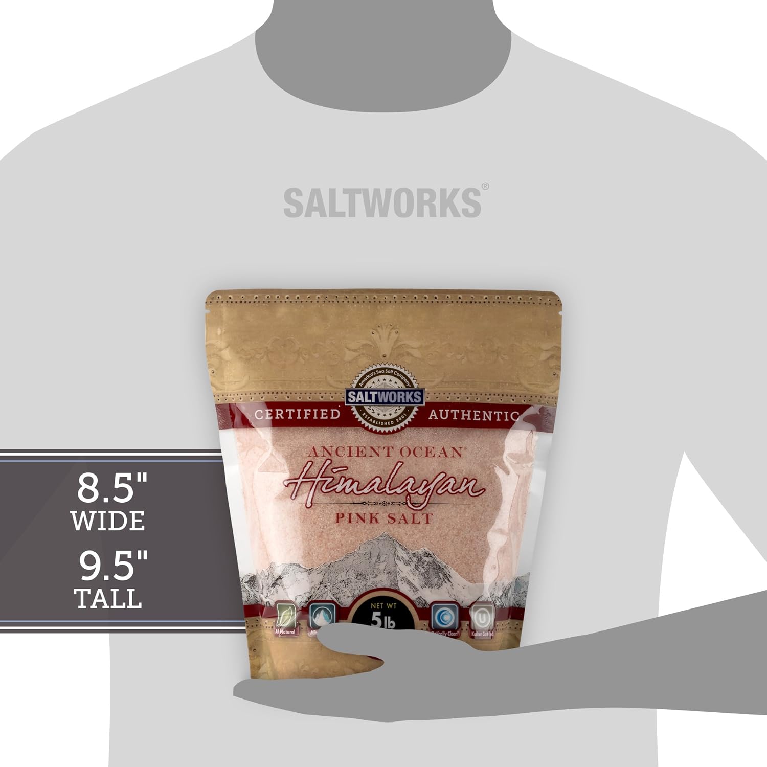 SaltWorks Ancient Ocean Himalayan Pink Salt, Fine Grain, 5 Pound Bulk Bag: Grocery & Gourmet Food