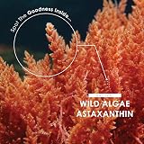 ALPHA01 Wild-Algae Astaxanthin 160mg 180 Softgels Resealable Pouch view 4