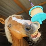 Likit 650g Apple Large Refill Horse Treat Lick Refills view 6