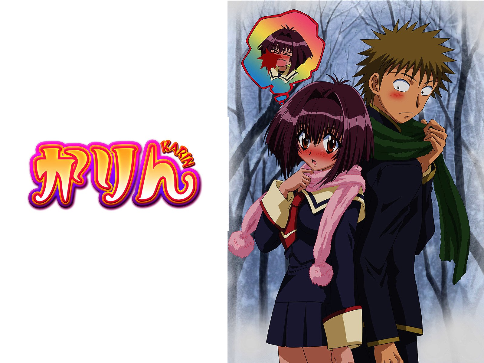 Amazon Co Jp 陰からマモル を観る Prime Video