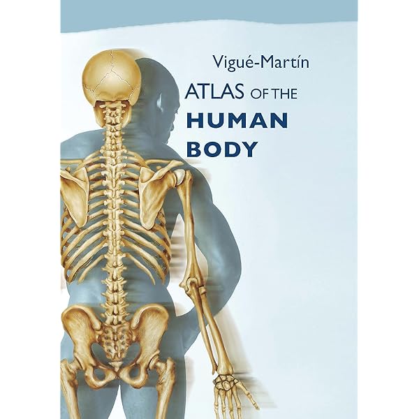 A Colour Atlas of Human Anatomy: Robert M.H. McMinn, Ralph T