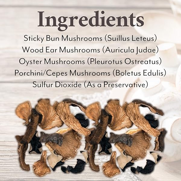 ROLAND FOODS DRIED MIXED WILD MUSHROOMS SPECIALTY IMPORTED FOOD ,16 OUNCE (PACK OF 1)
