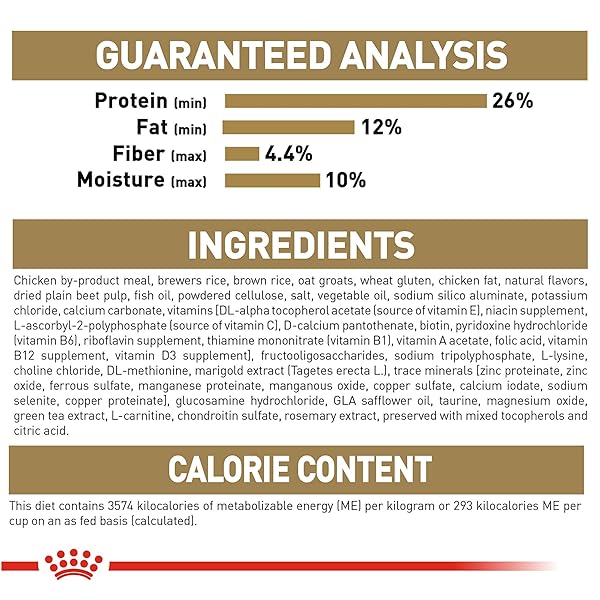 ROYAL CANIN DACHSHUND ADULT BREED SPECIFIC DRY DOG FOOD, 2.5 LB BAG
