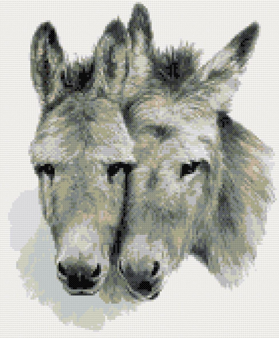 Donkey pair in gray cross stitch kit Amazon.co.uk Kitchen & Home