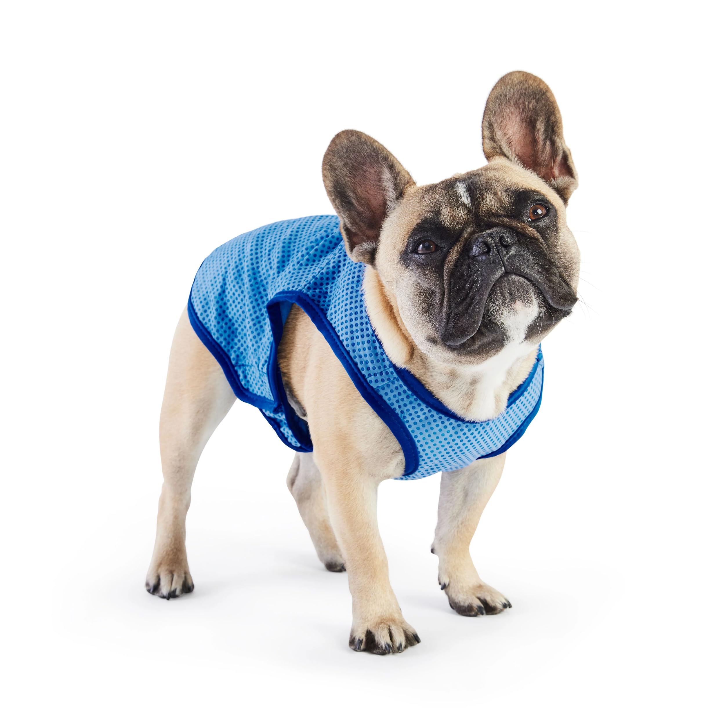 GF Pet 79g68522 ELASTOFIT Cooling Vest, XS, 130 g