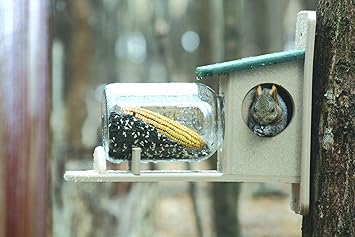 Birds Choice Squirrel Jar Feeder Amazon Co Uk Garden Outdoors