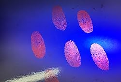 Red Fluorescent Fingerprint Powder, 30ml