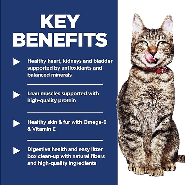 HILL’S SCIENCE DIET INDOOR, SENIOR ADULT 7+, EASY LITTER BOX CLEANUP, DRY CAT FOOD, CHICKEN RECIPE, 3.5 LB BAG
