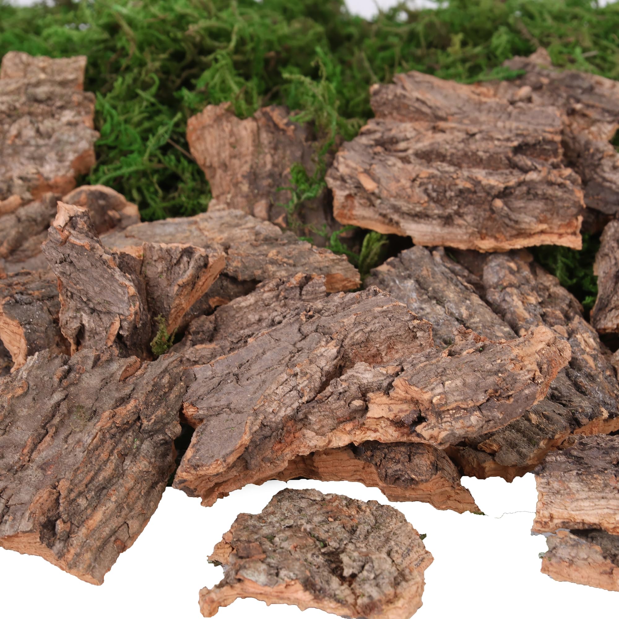 BYHER Fake Moss for Crafts, Assorted Treebark Fairy Garden Accessories Green Moss for Decorating, Tree Bark for Crafts, Terrarium, Floral Arrangements (Forest Green)