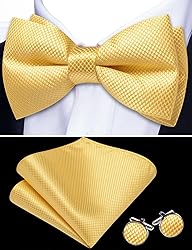 Barry.Wang Yellow Bow Ties for Men Pre-tied Bow Tie