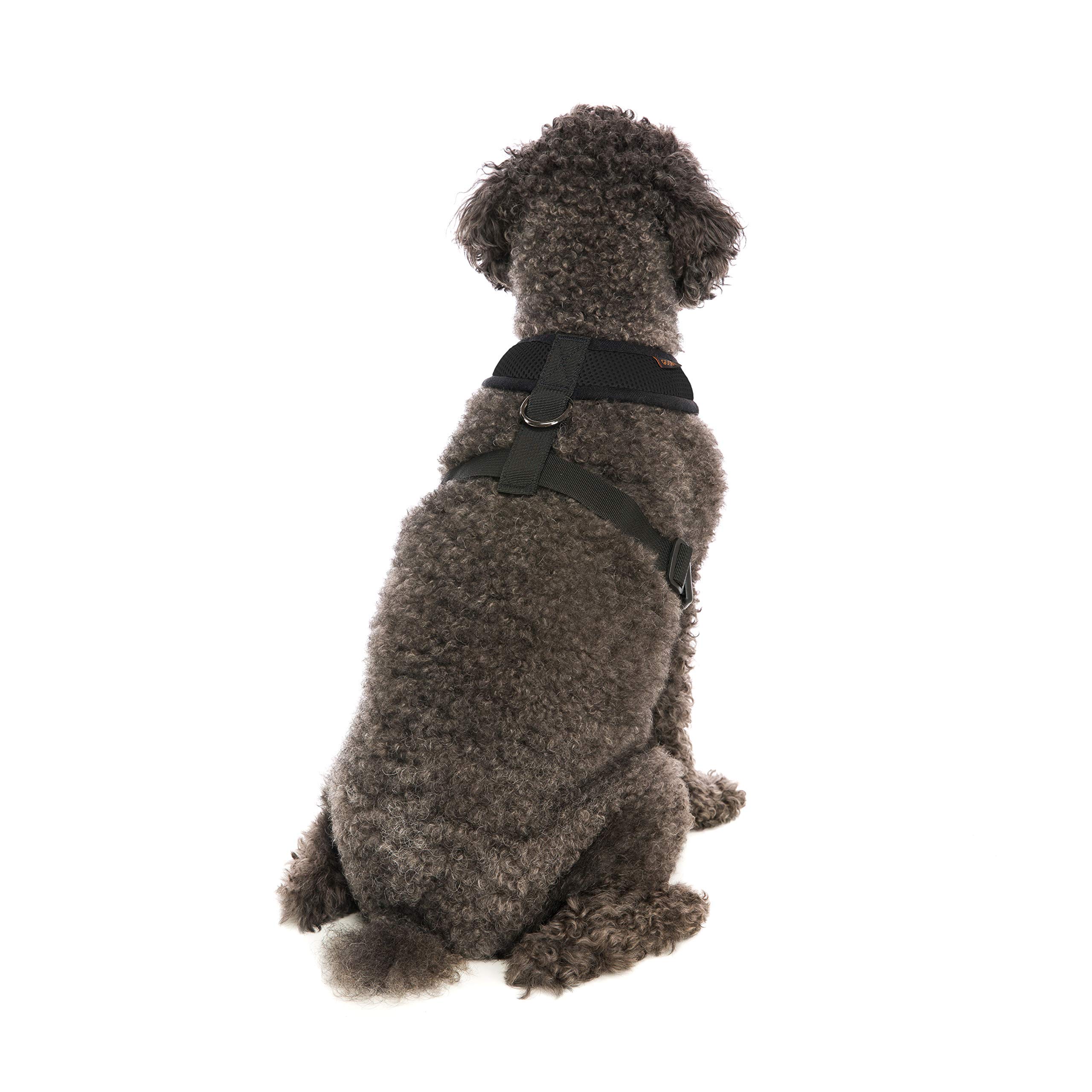 Product Photo 5