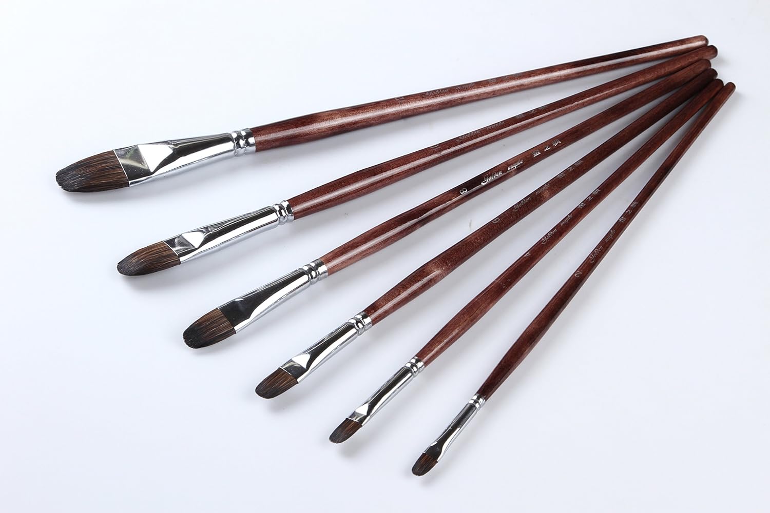 Paint Brushes 6 Pcs Brushes Set for Watercolor, Acrylic