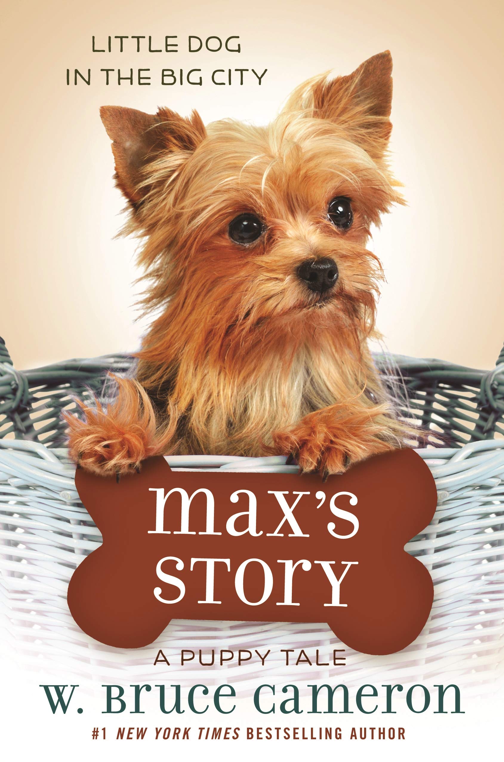 Max S Story A Puppy Tale Cameron W Bruce 9780765395016 Books Amazon Ca Max S Story A Puppy Tale Cameron W Bruce 9780765395016 Books Amazon Ca