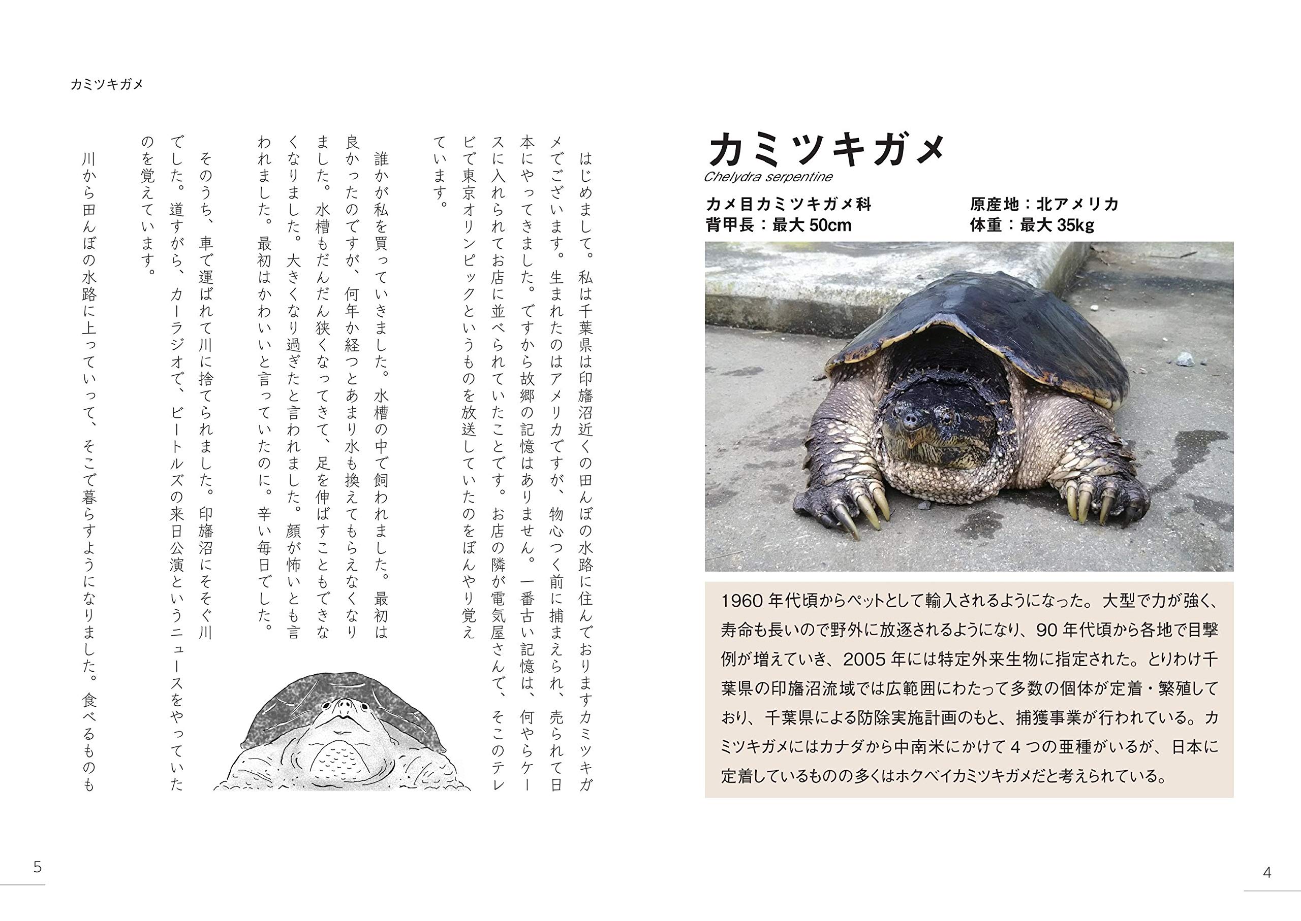 Amazon Co Jp 外来生物のきもち 大島 健夫 Japanese Books