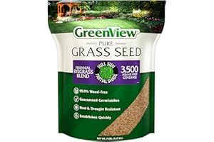 GreenView Pure Grass Seed Perennial Ryegrass Blend, 7 lb. Bag – Covers up to 3,500 sq. ft.