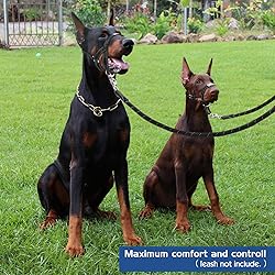Pawaboo Dog Halter Pet Safe Control - Nylon