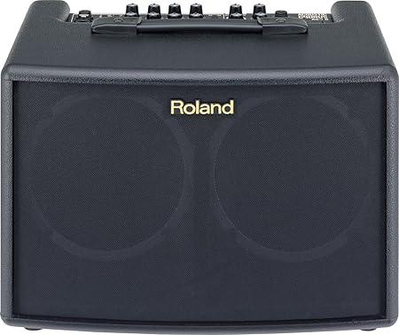 Roland AC-60 Amplifier