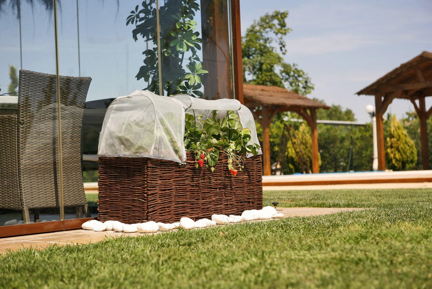Catral 71080010 - Mosquitera para huerto urbano Kit Planter, 100 x ...
