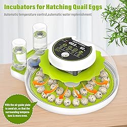 Quail Egg Incubator for Hatching 40 Quail Eggs with