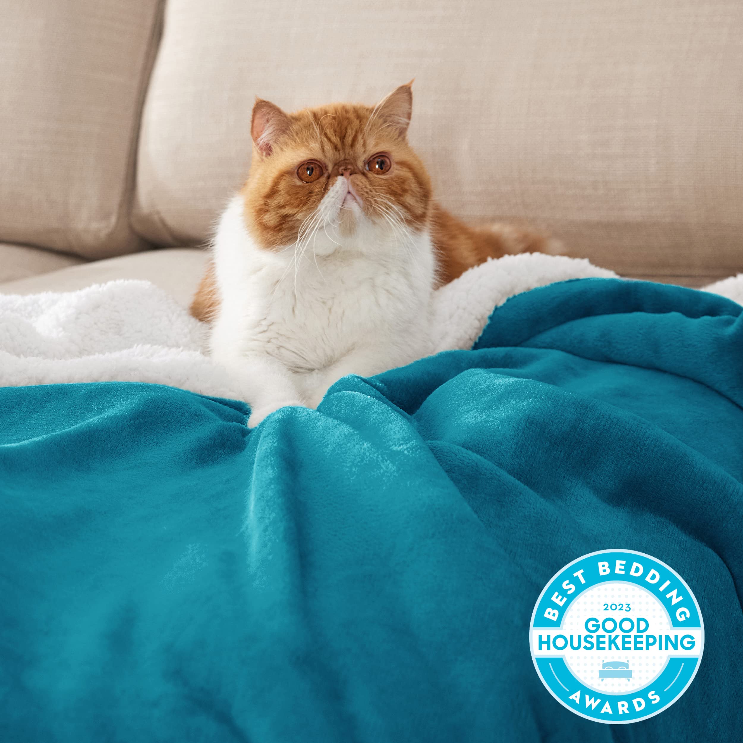 Bedsure GentleSoft Sherpa Fleece Throw Blanket for Couch - Thick and Warm, Soft Fuzzy Plush Throw Blanket for Winter, Teal, 50x60 Inches