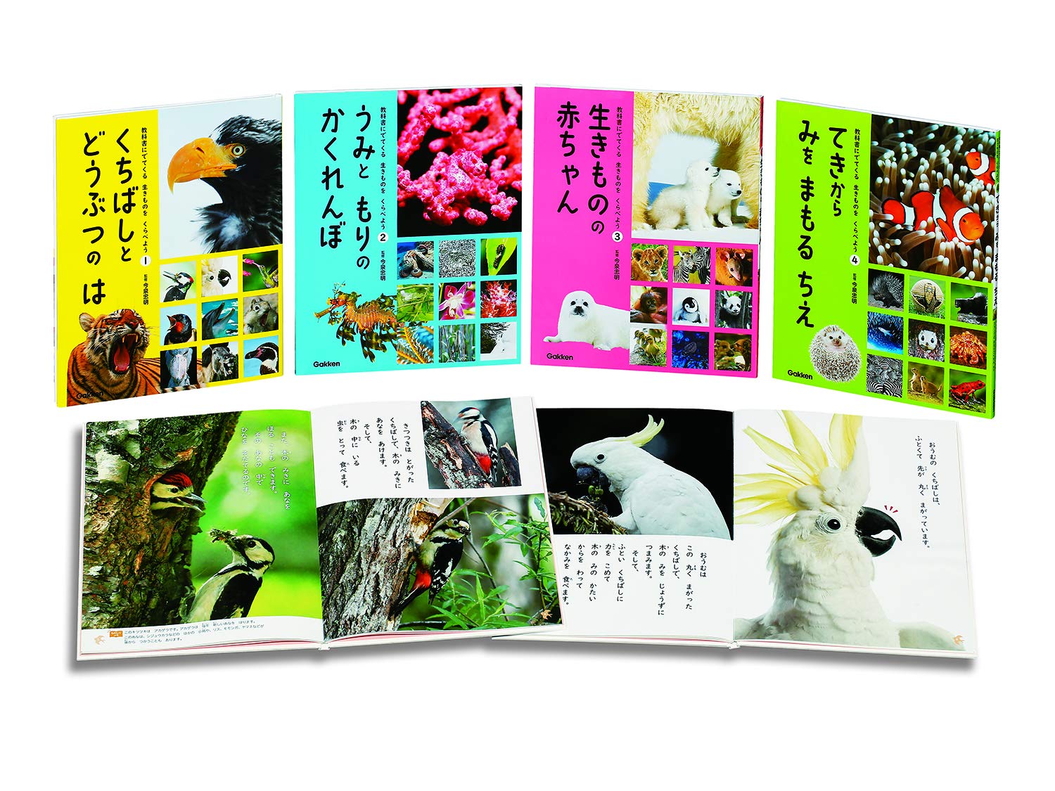 4 てきから みを まもる ちえ 教科書にでてくる 生きものをくらべよう 忠明 今泉 本 通販 Amazon